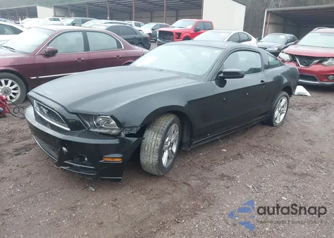 2013 Ford Mustang V6 z USA, uszkodzony, nr VIN 1ZVBP8AM7D5207365
